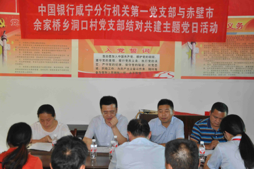 中國銀行咸寧分行黨委書記,行長姜建華在洞口村參加支郚主題黨日活動(dòng).jpg