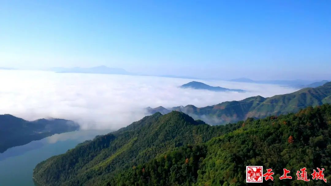 喜訊！咸寧多了一個(gè)“中國(guó)天然氧吧”