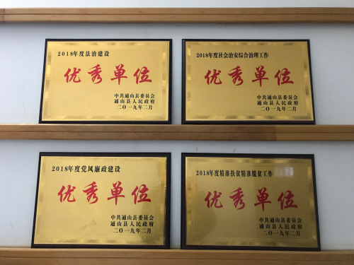 受表彰獎(jiǎng)牌Cache_23c8f3dd1fe64c1d..jpg
