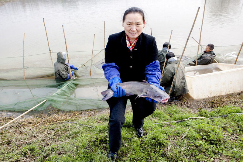 嘉魚委員彭春姣.jpg
